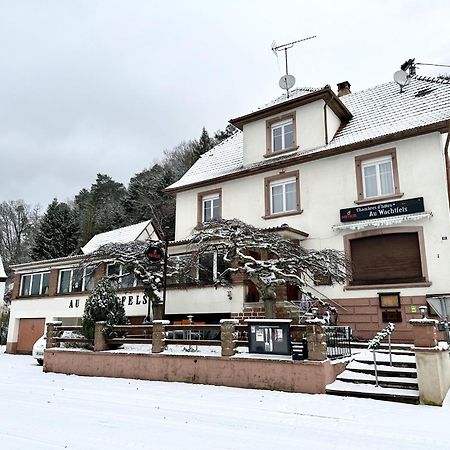 Bed and Breakfast Au Wachtfels Obersteinbach Esterno foto