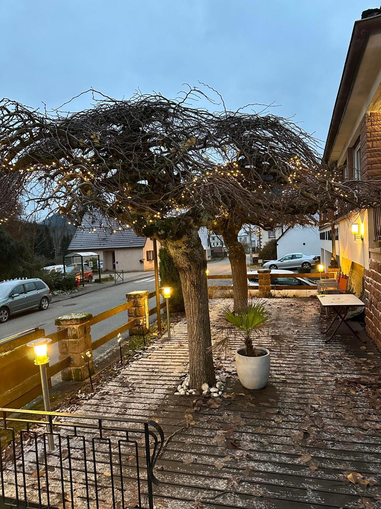 Bed and Breakfast Au Wachtfels Obersteinbach Esterno foto